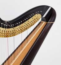 Harpists