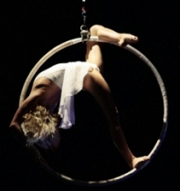 Aerial Performers