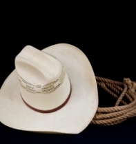 Bucking Broncos