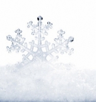Ice & Sculptures